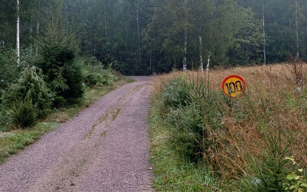 ”Tätä nopeusrajoitusta ei meidänkään vaimo riko”