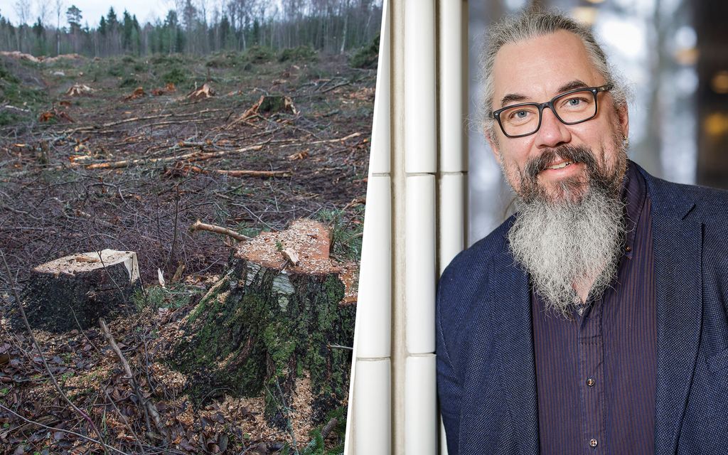 Luonnon tila heikkenee – suomalais­professori haluaa maa- ja metsätalouden maksajiksi