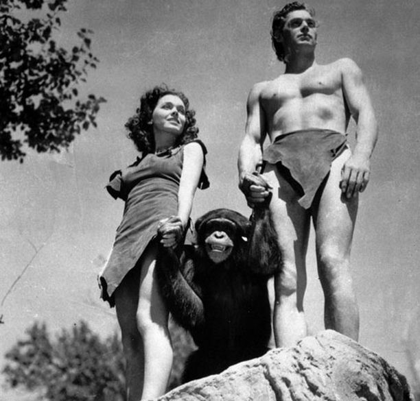 Kirjailija Richard Rosen väittää, että Tarzan-elokuvien Cheetahia näytteli useampi simpanssi.