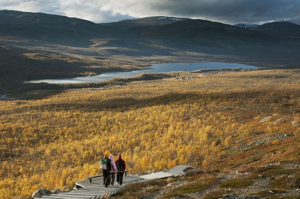Mallan luonnonpuisto on Suomen vanhin luonnonsuojelualue.