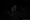 Will Burrard-Lucas sai mustasta pantterista upeita kuvia.