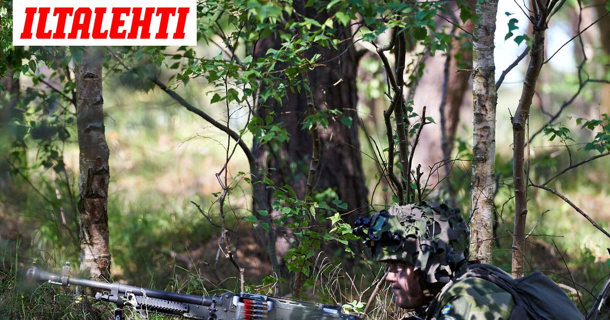www.iltalehti.fi