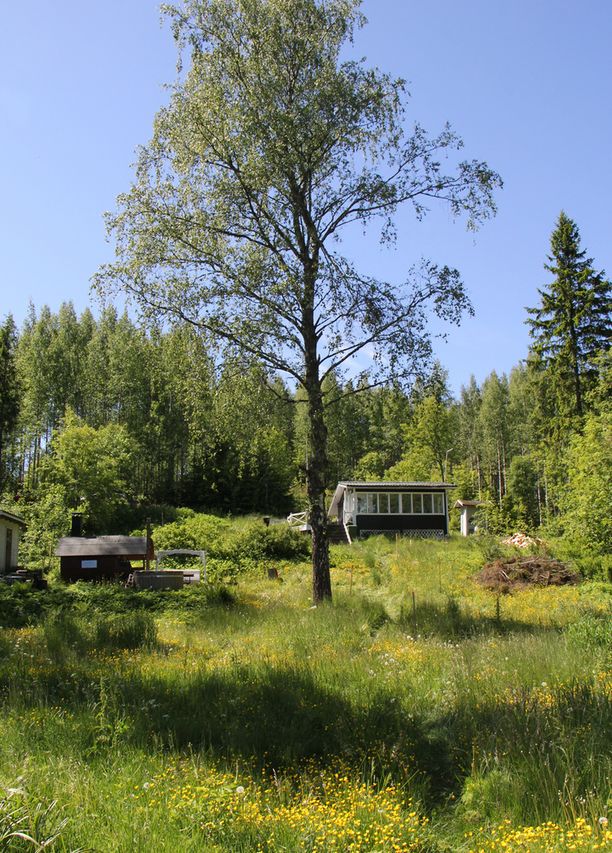 Sami Hedbergin rantatontin huima muodonmuutos - katso kuvat ennen ja  jälkeen: 