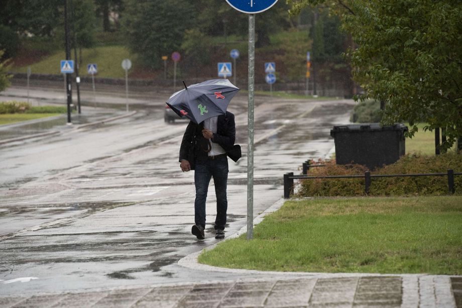 The Finnish Meteorological Institute warns of thunder
 – 2024-08-30 04:51:18