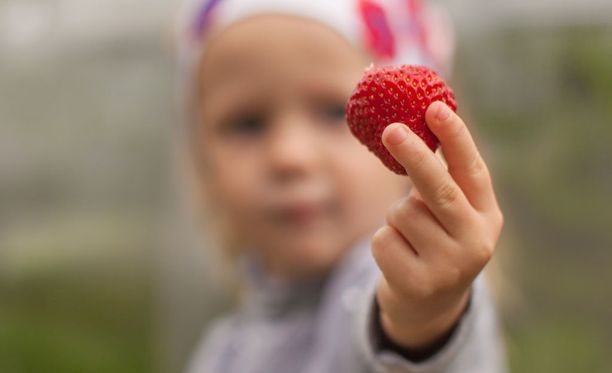 Varhaiskasvatuksen ruokasuositukset julkaistiin - lisää pehmeitä rasvoja,  vähemmän sokeria ja suolaa