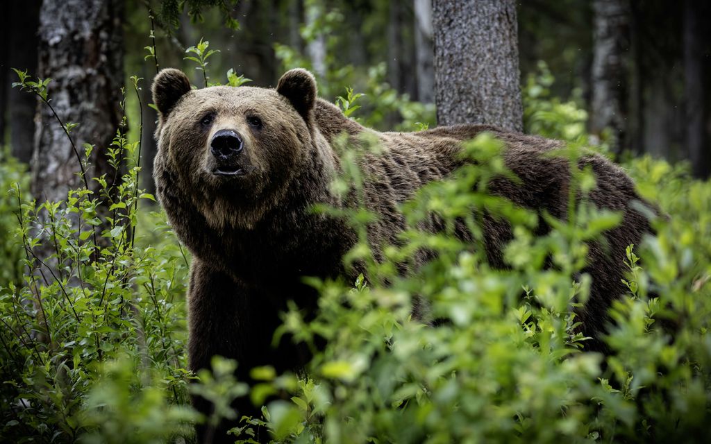 Wilma, 26, kuuli pääsiäisenä äidiltään järkyttävän uutisen: ”Romahdin täysin”