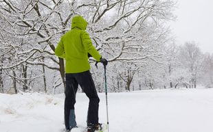 Homo seksiä simulaattori