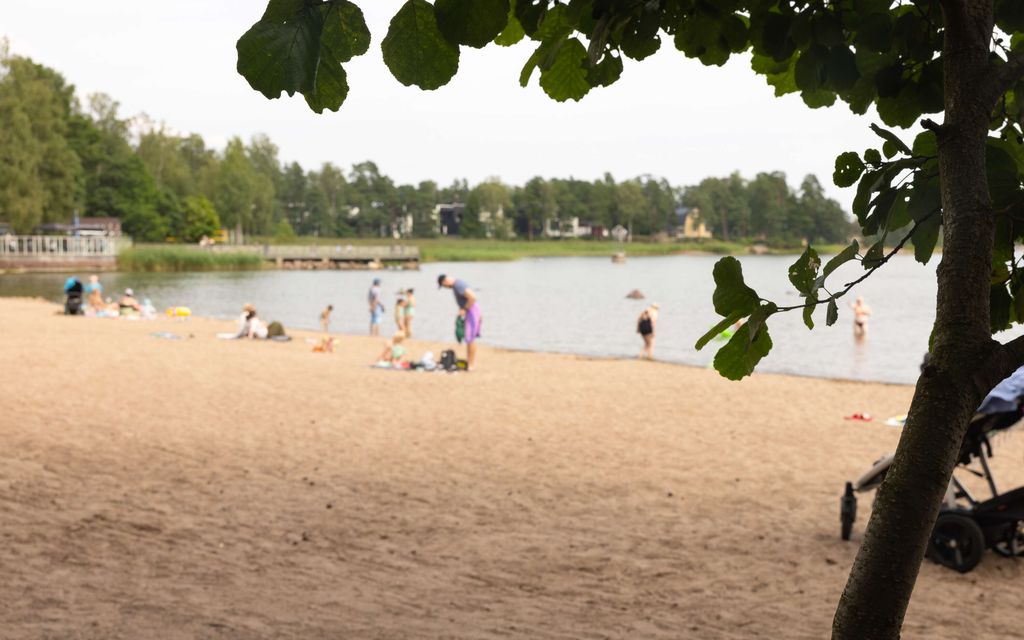 Järkyttävä rikosepäily: Mies yritti hukuttaa koiransa uimarannalla Espoossa