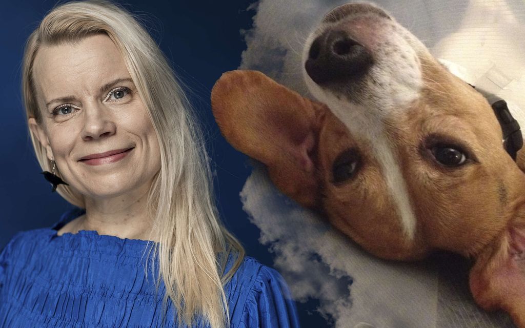 Kun ihmiset kuulivat Mian koirien tarinan, moni alkoi itkeä: Tällainen oli Jonin ja Junnun elämä