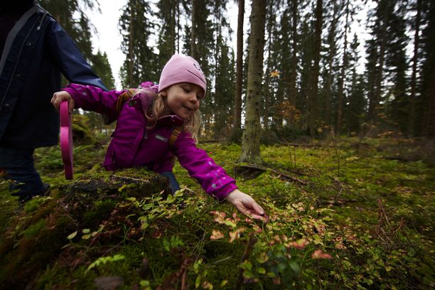 Metsäretki tarjoaa ilmaisia elämyksiä.
