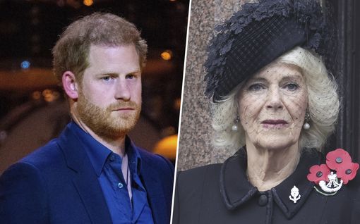 Prinssi Harry ryöpytti kuningatar­puoliso Camillaa televisiossa: ”Roisto”