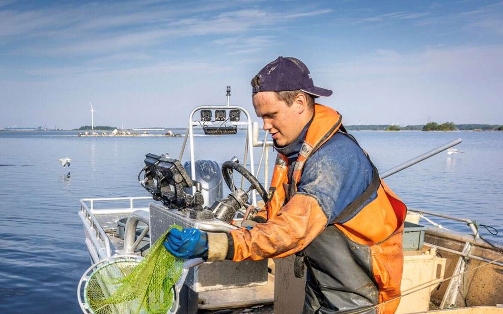 Näin Suomen nuorin kalastaja tienaa elantonsa – ”Tulot vaihtelevat rajusti”