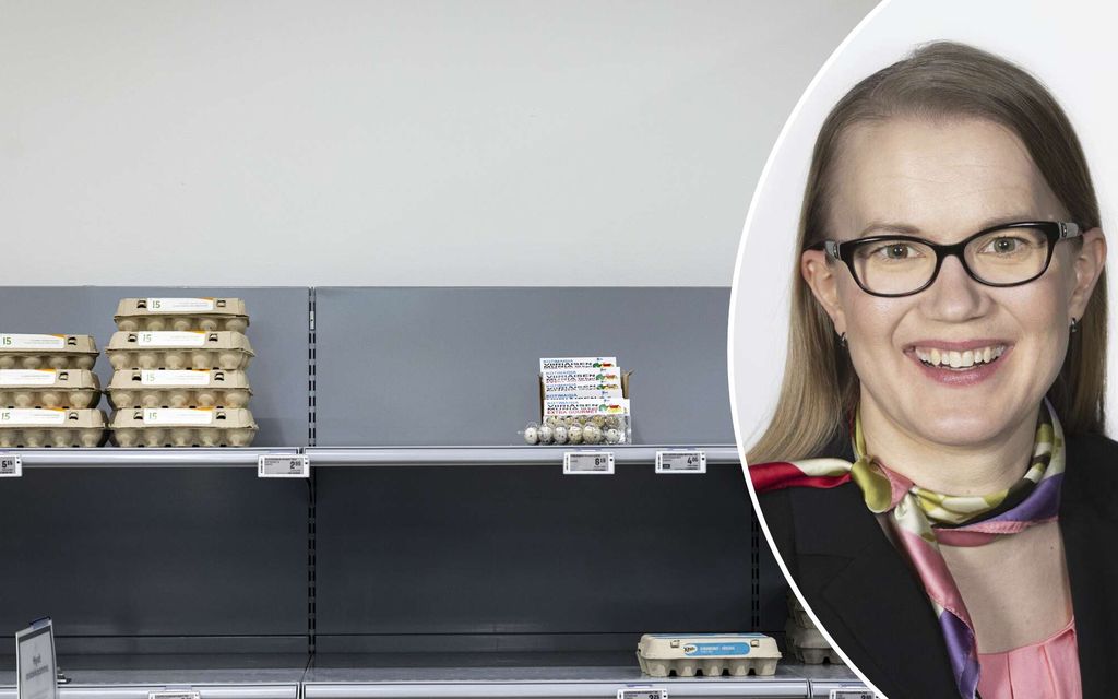 Kananmunat loppuivat Suomen kaupoista – Tänne ne päätyvät