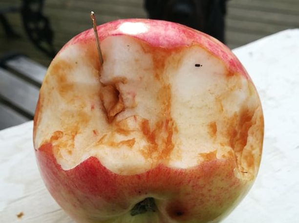 Joku oli laittanut neulan omenan sisään Nokialla. 