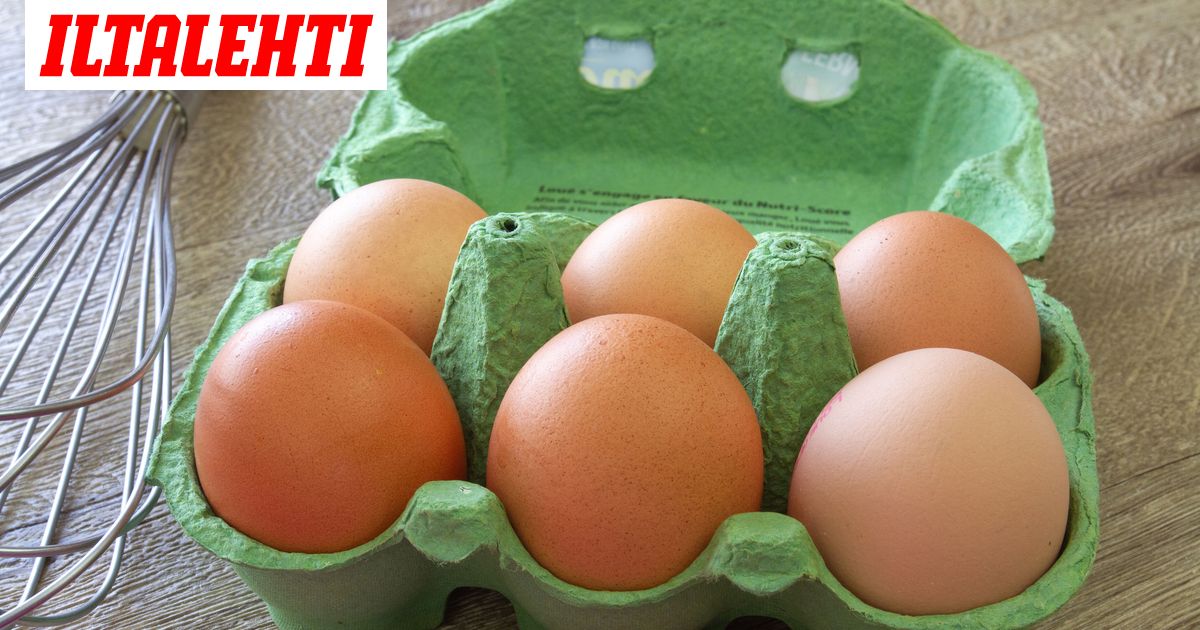 Kananmunien Syominen Voi Lisata Sydantapahtumia Ja Nostaa