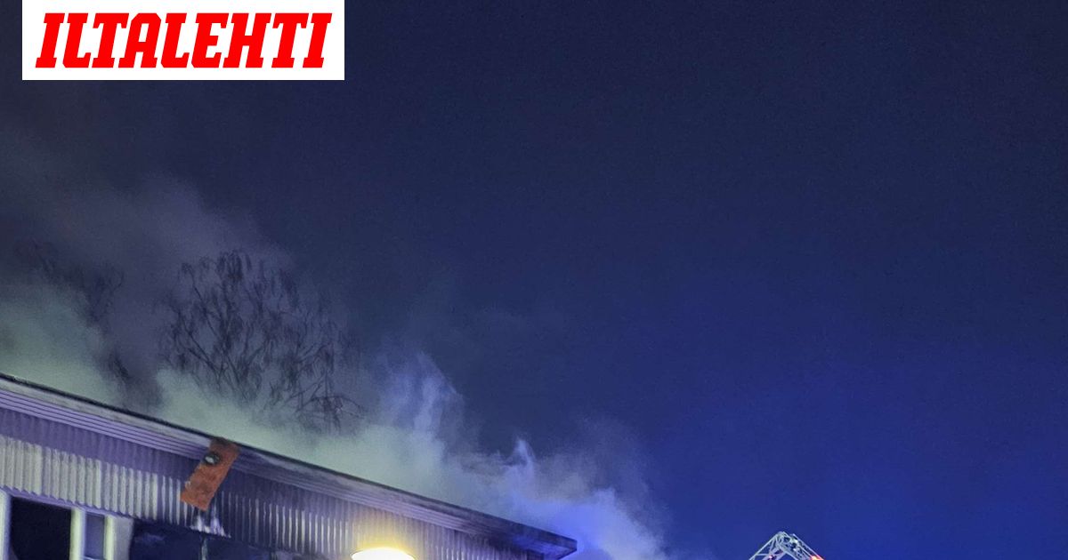 www.iltalehti.fi
