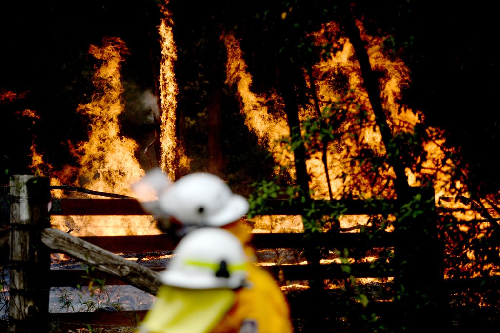 Australiassa miehen epäillään sytyttäneen tulipalon tahallaan suojellakseen kannabisviljelmiään:  jo 10 000 hehtaaria palanut