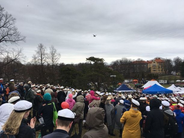 Vappu on asenne: Urhea piknik-kansa uhmasi ankeaa sadesäätä Helsingin  Ullanlinnanmäellä - katso kuvat ja video