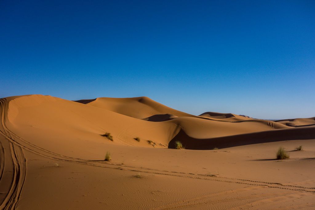 Uskomaton tutkimustulos – Jos 50 % Saharasta peitettäisiin aurinkokennoilla, maailma lämpenisi lähes 0,5 °C ja Amazon kuivuisi