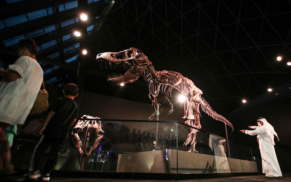 Harvinainen tilaisuus – Tyrannosaurus rex avoimessa huutokaupassa