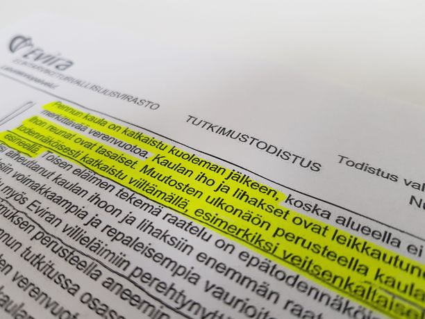 Mitä tehdä, kun antaa päänIso rasvaa Daddy kukko