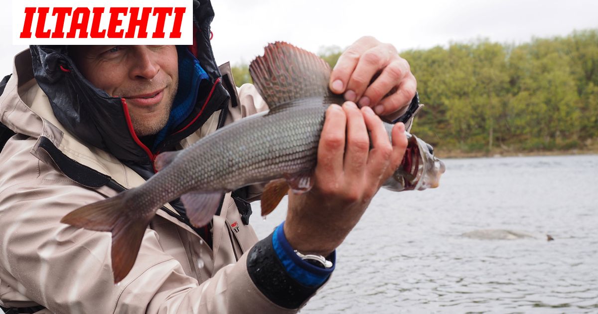 Lapissa Kytee Lupakapina Inarilaiskalastajat Uuden Kalastuslain