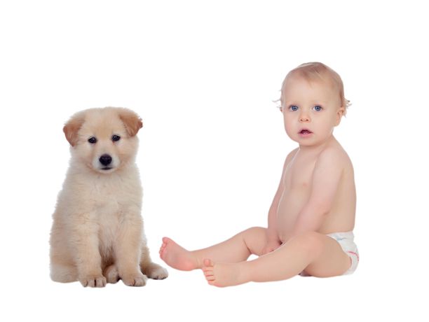 Esitellä 44+ imagen koiranpentu ja vauva