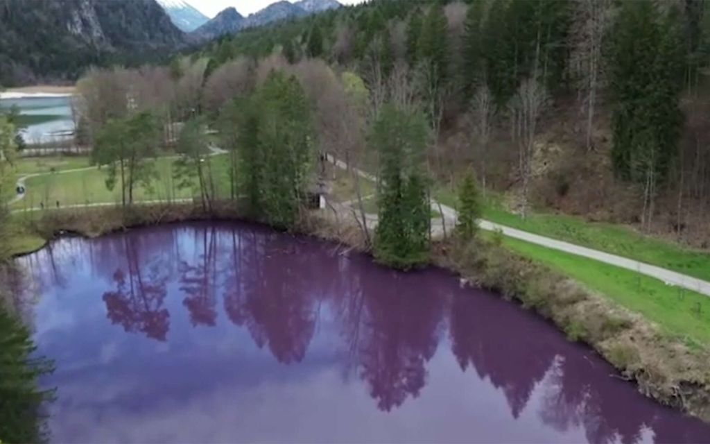 Syvän violetti järvi vetää ihmisiä puoleensa Saksassa – Tästä on kyse