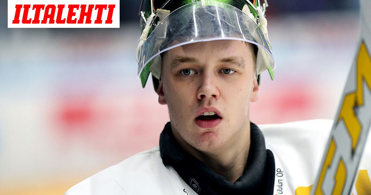 Kärpät julkaisi kultaleijonan suloisen lapsuuspiirustuksen - mallina toiminut kansanedustaja ...