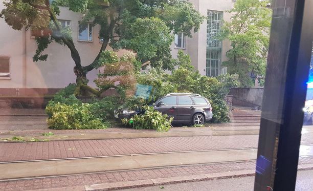 Pääkaupunkiseudulla lukuisia autoja ruhjoutui myrskyn seurauksena. Kuva Helsingin Tukholmankadulta.
