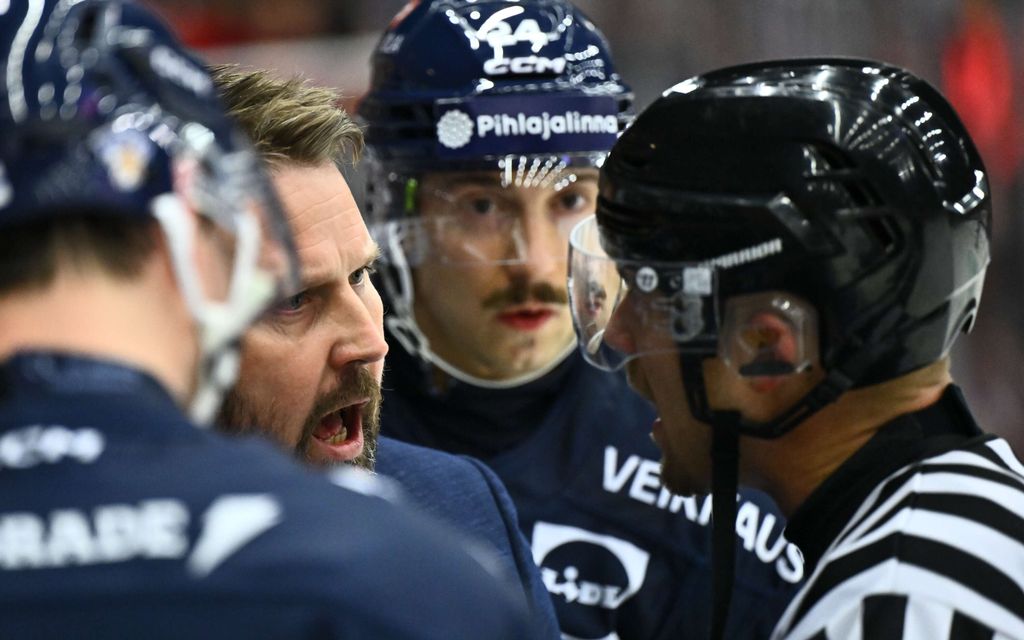 Leijonat vaikeuksissa