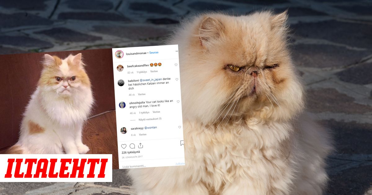 vapaa alaston lesbo leikkeet