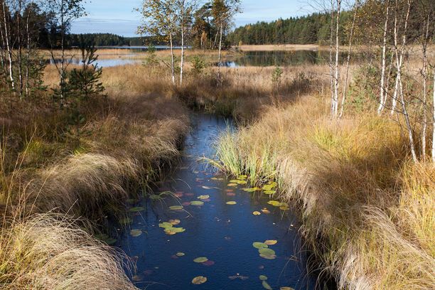 Tunnetko Etelä-Suomen kansallispuistot?