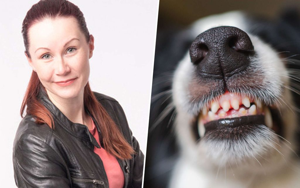 Useita ihmisiä purtiin Lemmikki­messuilla – Asian­tuntijalta painava viesti