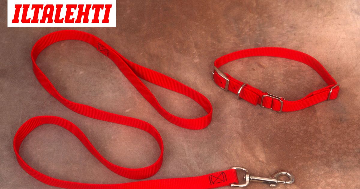 Kaleva: Koira hyökkäsi toisen kimppuun – Säikky pikkukoira juoksi auton alle