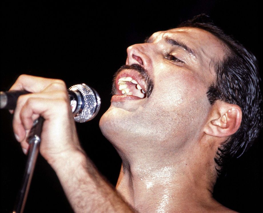 Freddie Mercury employed for a particular task
 – 2024-07-23 17:21:50