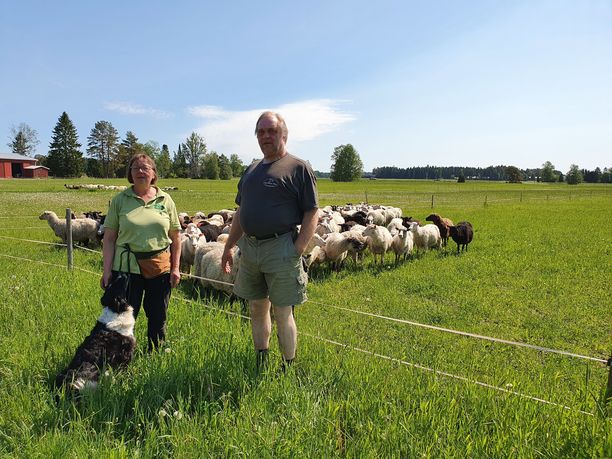 Millaista on elämä susialueella? IL vieraili Pöytyällä