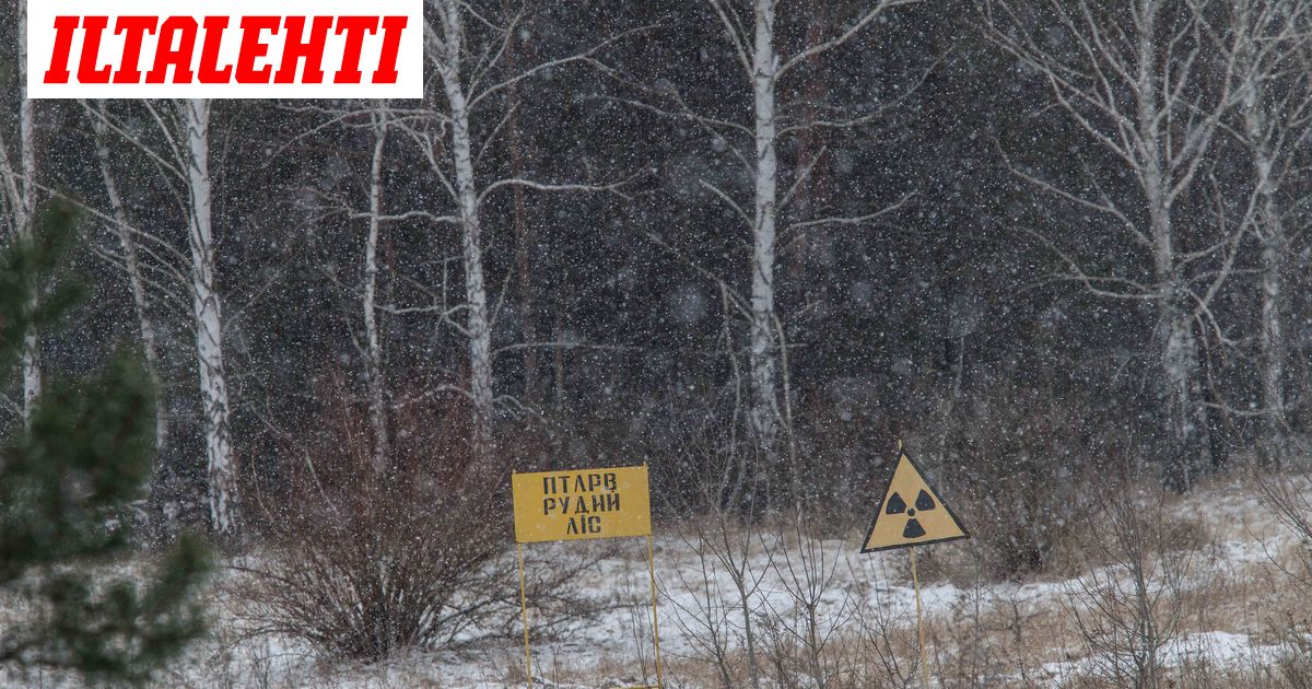 Kuvat: Tällainen on Tšernobylin Punainen metsä