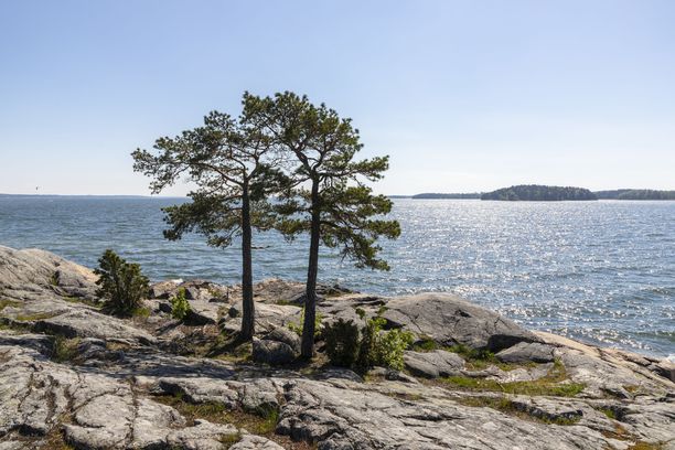 Vietätkö keskikesän juhlaa yksin? Tässä vinkit soolojuhannukseen