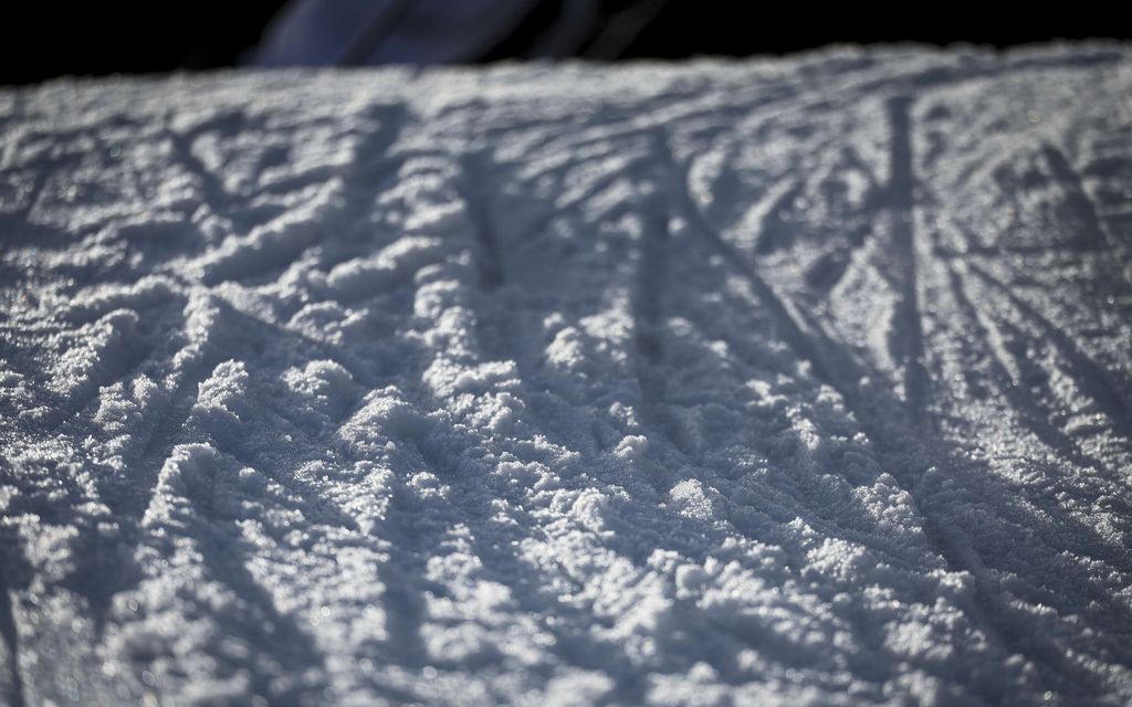 Älä ohita vaaran merkkejä kotipihallasi – Aamu erityisen pahaa aikaa