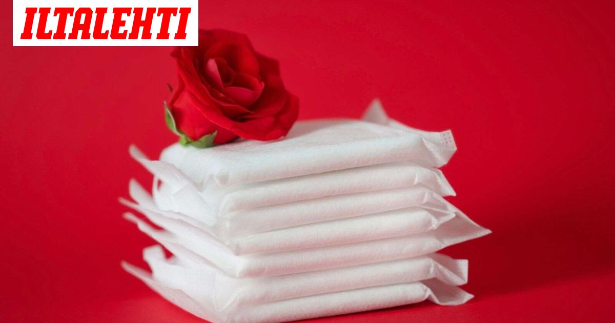 Menkat ovat hukattu mahdollisuus – Tutkijoilla hurjia visiota