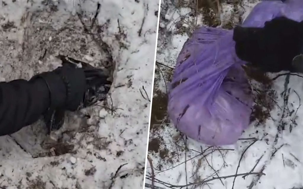 Pysäyttävä löytö: 60 kiloa peukkua kätkettynä kansallis­puistoon