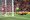 Siellä lepää. Teemu Pukki iski komean maalin Liverpoolin maalivahdin Adrianin selän taakse Anfieldilla viime perjantaina valioliigadebyytissään.