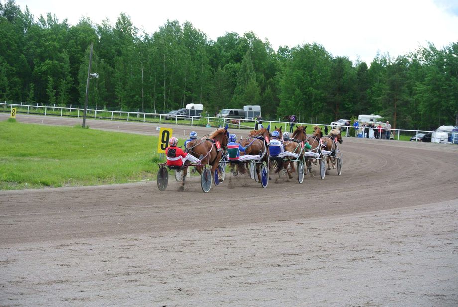 Jyväskylässä nähtiin traaginen tilanne – Hevonen kuoli yleisön edessä