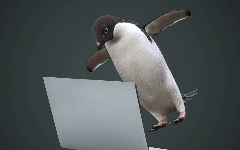 Miten Linux asennetaan? Näillä ohjeilla onnistut varmasti