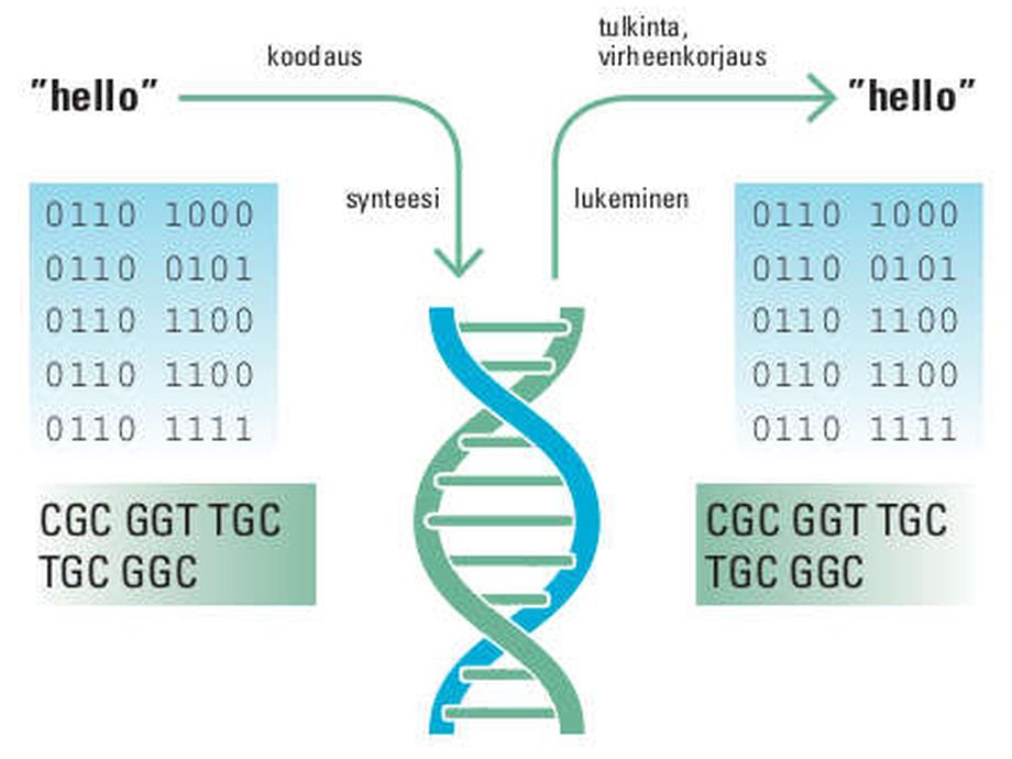 Näin toimii dna-tallennus: supertiivis tietovarasto on tulevaisuuden ...