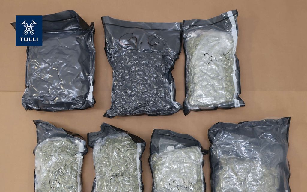 Iso huumevyyhti paljastui Suomessa: Yli 90 kiloa kannabista sala­kuljetettiin Yhdysvalloista