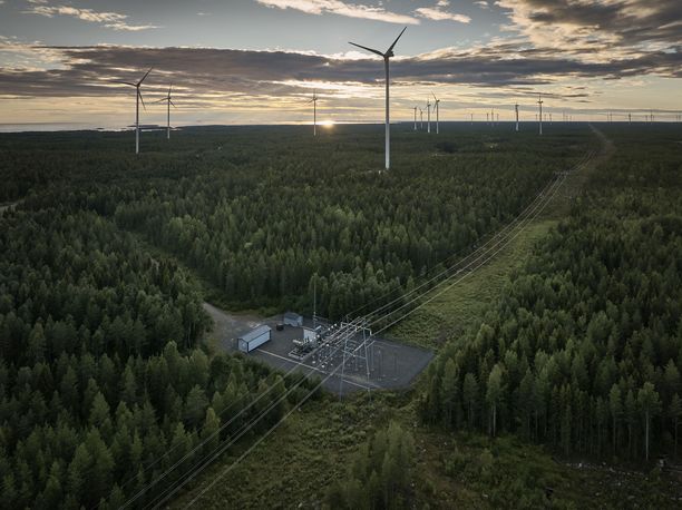 Maa- ja metsätalousministeriö tyrmää uuden metsien suojelutavoitteen