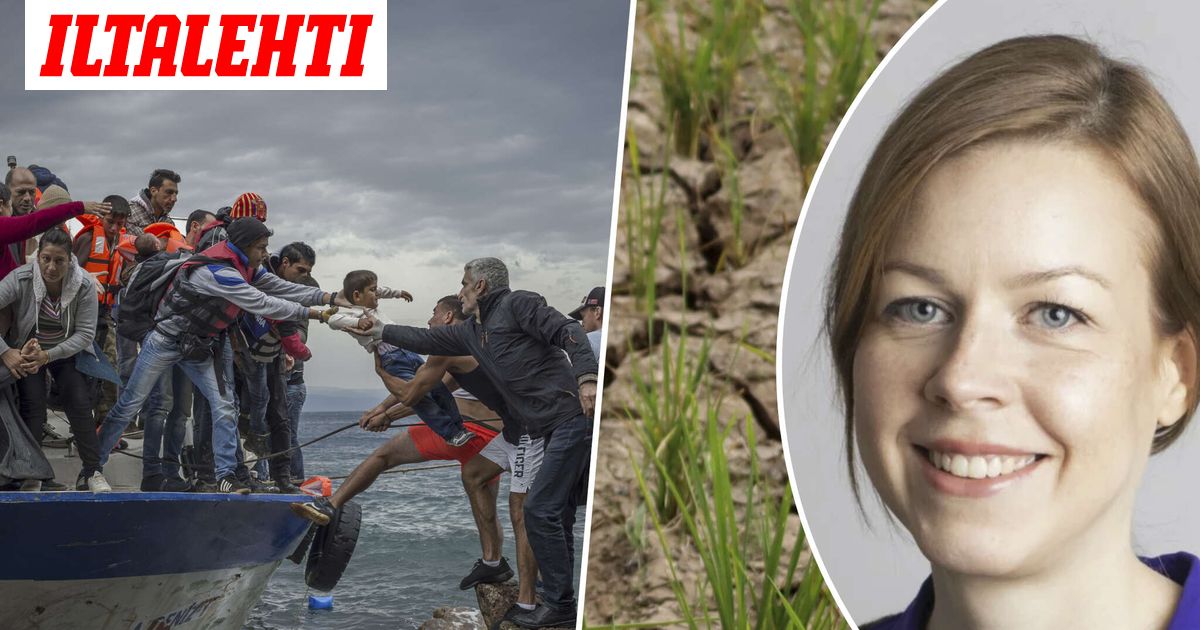 www.iltalehti.fi