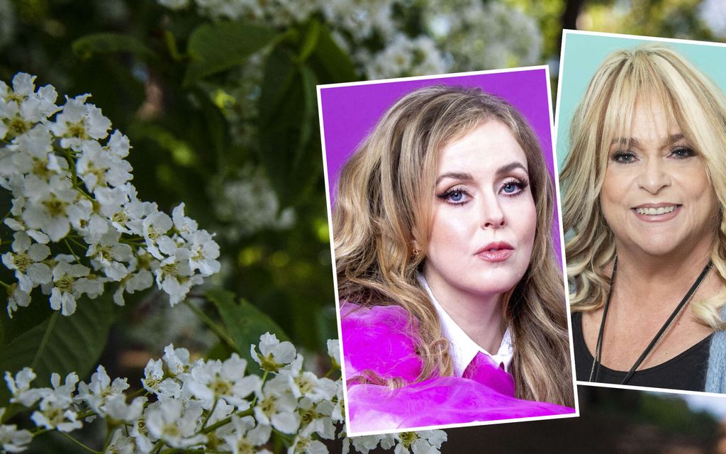 Nämä laulut kertovat keväästä – Kuinka hyvin osaat ne? Testaa